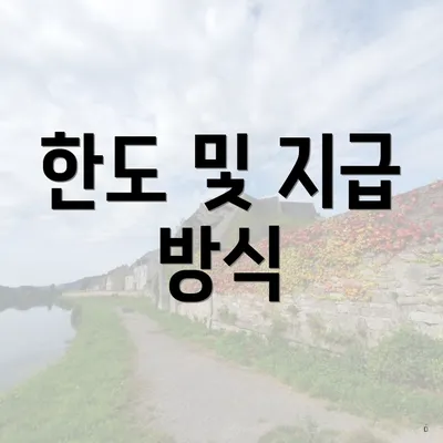 한도 및 지급 방식