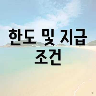 한도 및 지급 조건