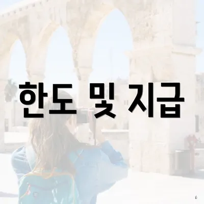 한도 및 지급