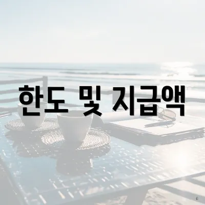 한도 및 지급액