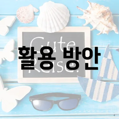 활용 방안