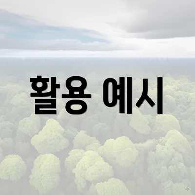 활용 예시