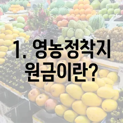 1. 영농정착지원금이란?