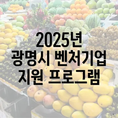 2025년 광명시 벤처기업 지원 프로그램
