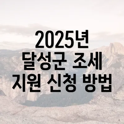 2025년 달성군 조세 지원 신청 방법