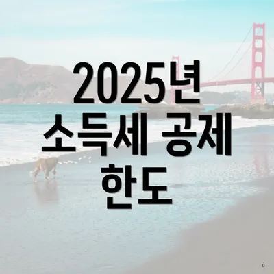 2025년 소득세 공제 한도