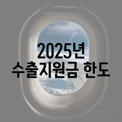 2025년 수출지원금 한도