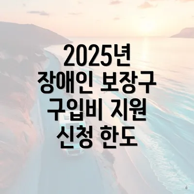 2025년 장애인 보장구 구입비 지원 신청 한도