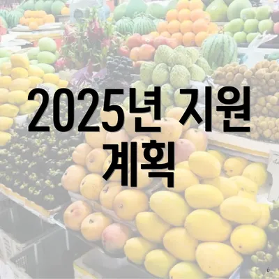 2025년 지원 계획