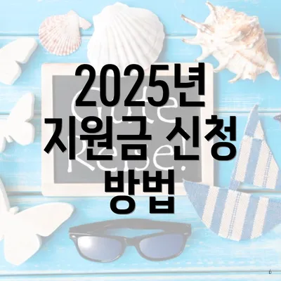 2025년 지원금 신청 방법