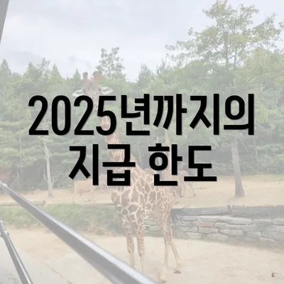 2025년까지의 지급 한도