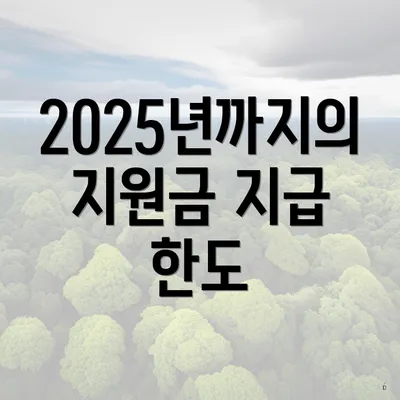 2025년까지의 지원금 지급 한도