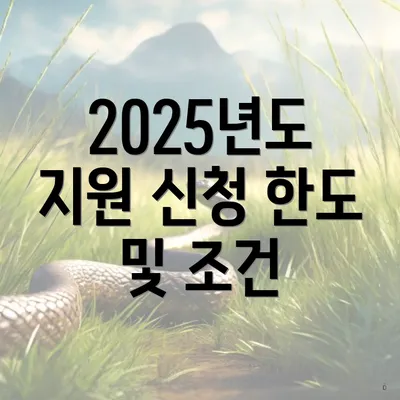 2025년도 지원 신청 한도 및 조건