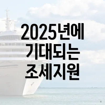 2025년에 기대되는 조세지원