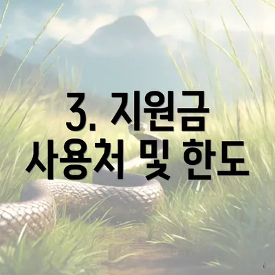 3. 지원금 사용처 및 한도