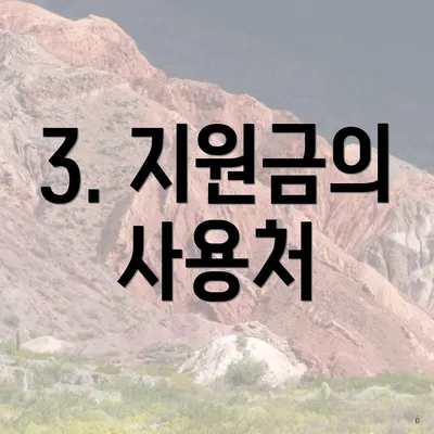 3. 지원금의 사용처