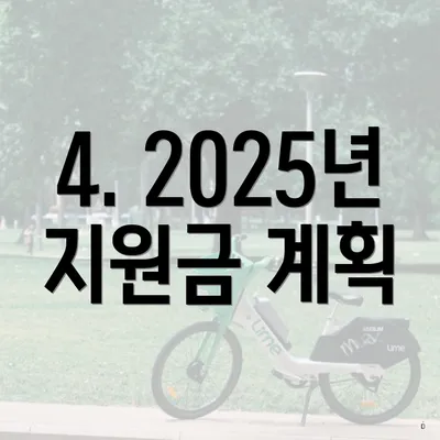 4. 2025년 지원금 계획