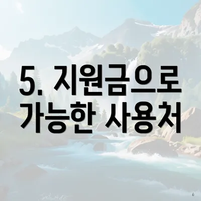 5. 지원금으로 가능한 사용처