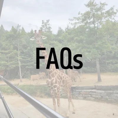 FAQs