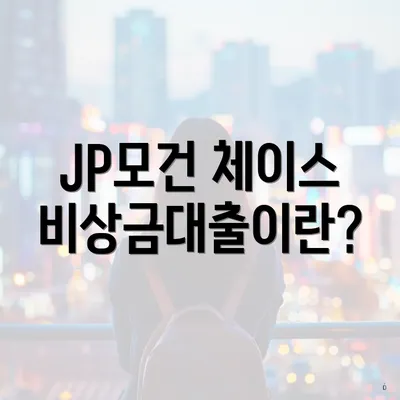 JP모건 체이스 비상금대출이란?