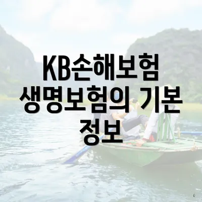 KB손해보험 생명보험의 기본 정보
