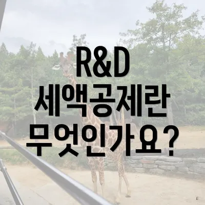 R&D 세액공제란 무엇인가요?