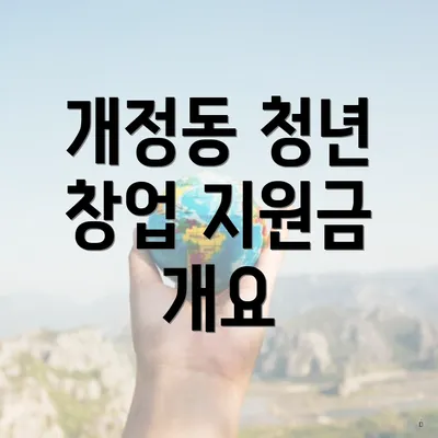 개정동 청년 창업 지원금 개요