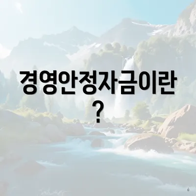 경영안정자금이란?