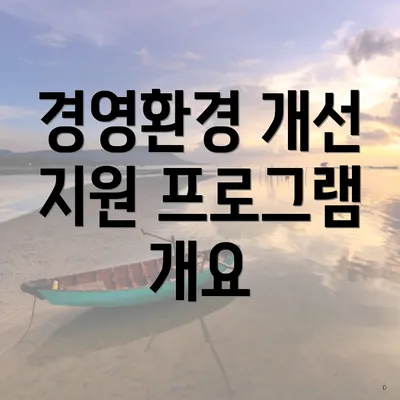 경영환경 개선 지원 프로그램 개요