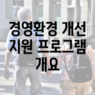 경영환경 개선 지원 프로그램 개요