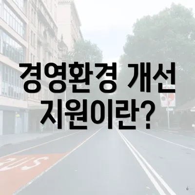 경영환경 개선 지원이란?
