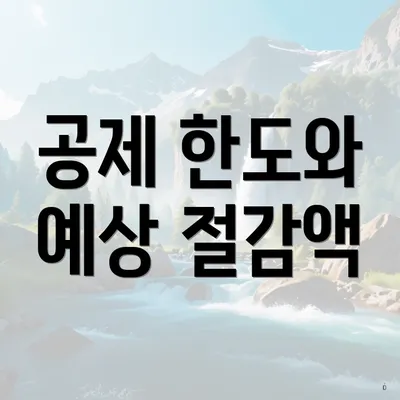 공제 한도와 예상 절감액