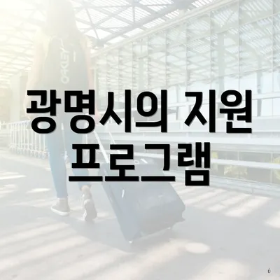 광명시의 지원 프로그램