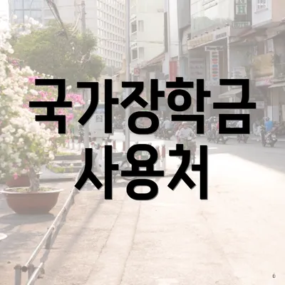 국가장학금 사용처