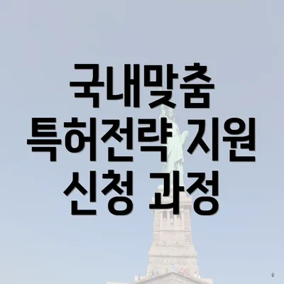 국내맞춤 특허전략 지원 신청 과정