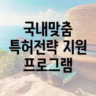 국내맞춤 특허전략 지원 프로그램