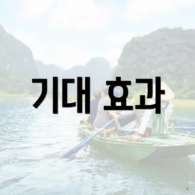 기대 효과