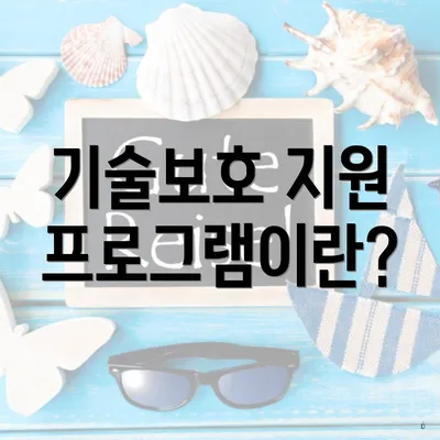 기술보호 지원 프로그램이란?