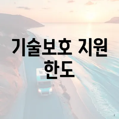 기술보호 지원 한도