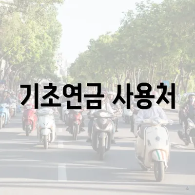 기초연금 사용처