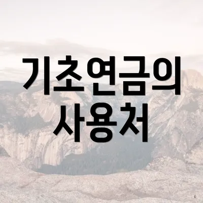 기초연금의 사용처