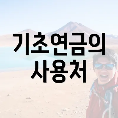 기초연금의 사용처
