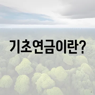 기초연금이란?
