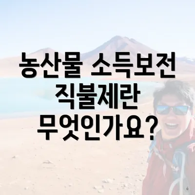 농산물 소득보전 직불제란 무엇인가요?