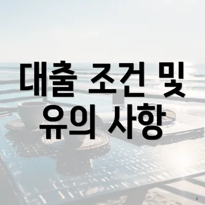 대출 조건 및 유의 사항