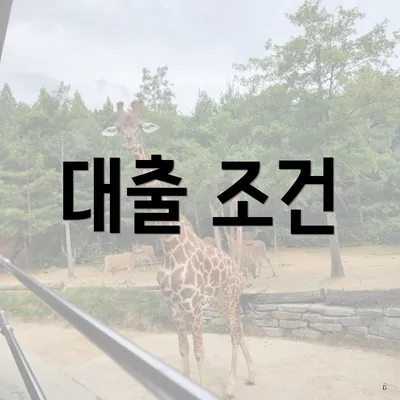 대출 조건
