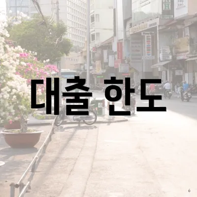 대출 한도