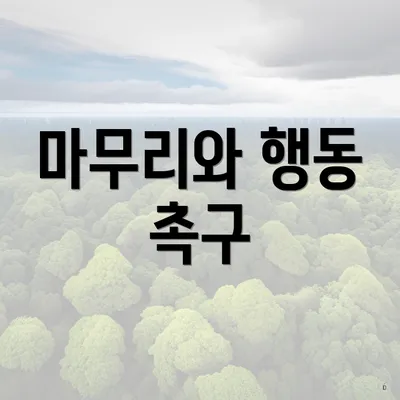 마무리와 행동 촉구