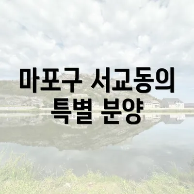 마포구 서교동의 특별 분양