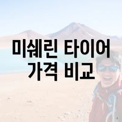 미쉐린 타이어 가격 비교